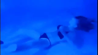 k&period; Instinct&colon; Sexy Bikini Girl &lpar;A Unconditioned Drag&rpar;